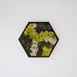 Apartment Container