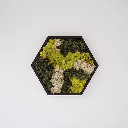 Appartement Container